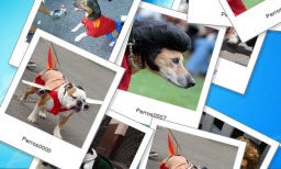 Collage, un salvapantallas con tus fotos favoritas