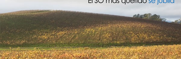 Windows XP cumple diez años