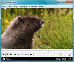 Media Player Classic a punto de colgarse