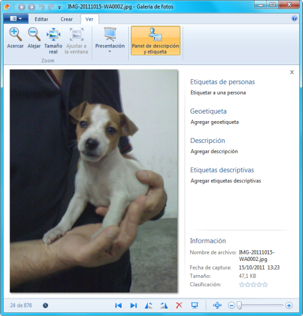 Galeria Fotografica Galeria Fotografica