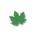 greenify