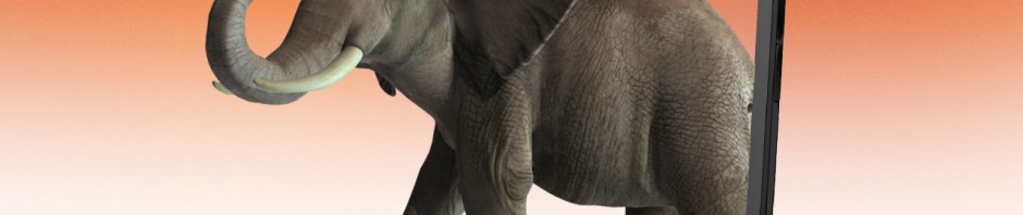 Elefantapps: las 10 apps que usaría un elefante