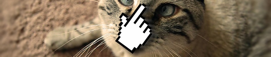 19 GIF informáticos que no te puedes perder