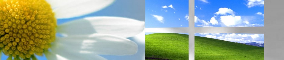 Usar Windows XP sigue siendo posible gracias a Windows 8