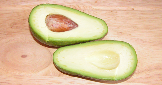aguacate