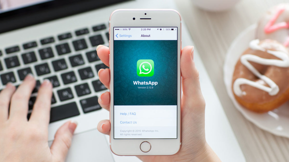 WhatsApp Business: así será el WhatsApp de pago