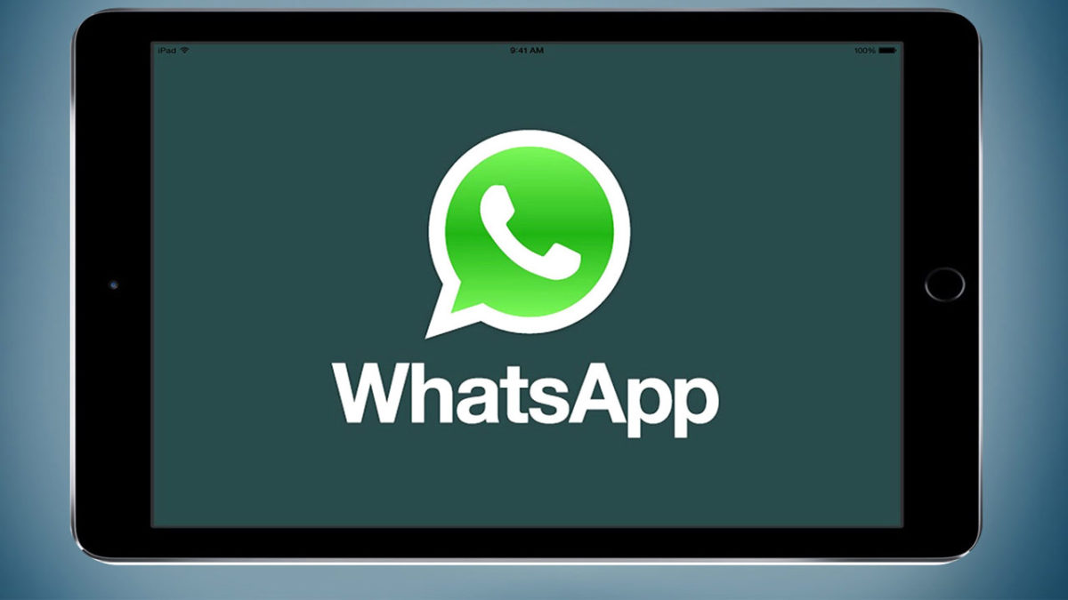 Rumor: WhatsApp llegará a iPad con ciertos cambios