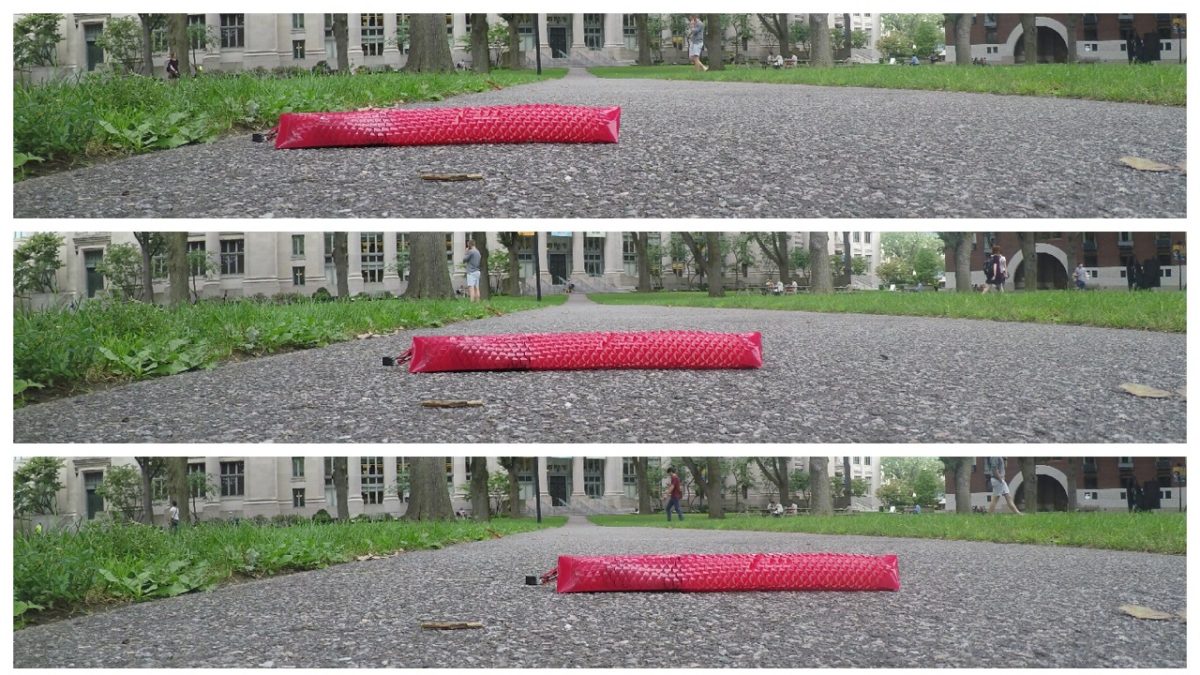 Un robot-serpiente merodea por Harvard gracias a la piel sintética