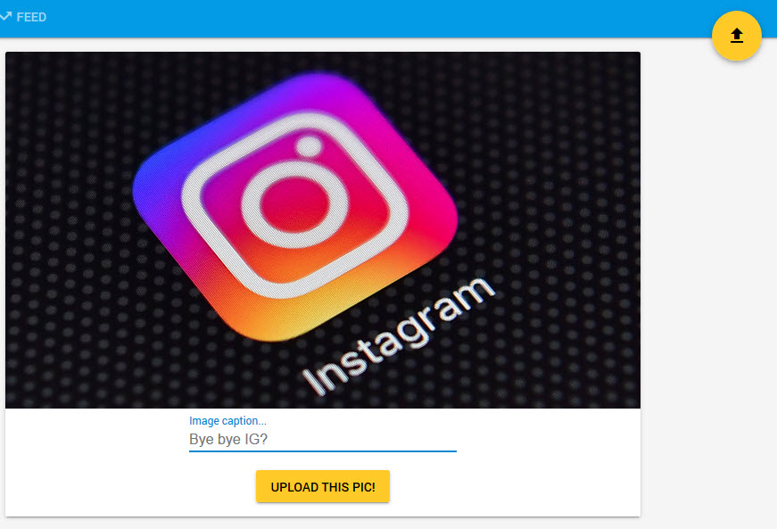 Google lanza su propio Instagram - Softonic