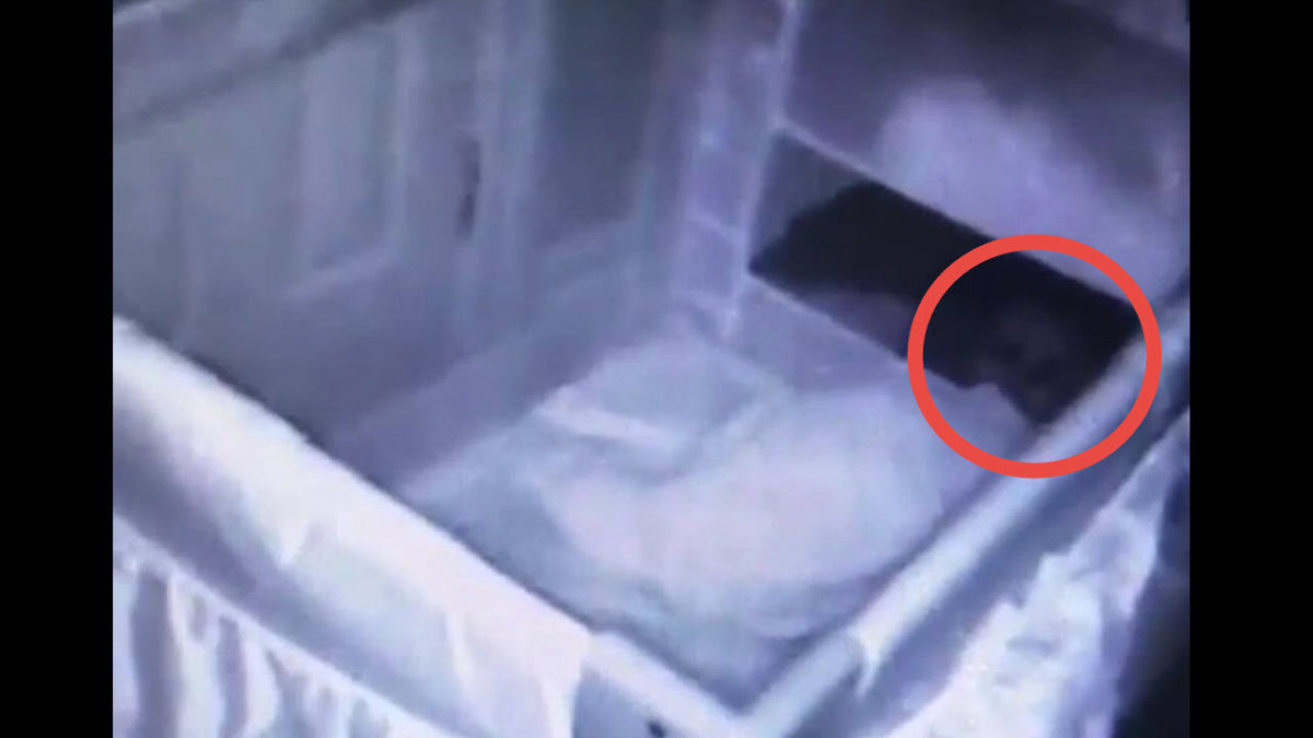Una cámara registra a un intruso fantasmal que espía al bebé de la familia