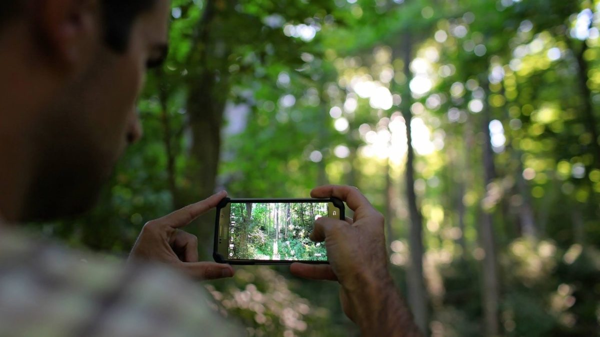 Las mejores aplicaciones para mejorar tus fotos de este verano