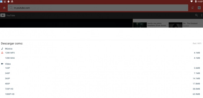 Formato de los archivos de Snaptube