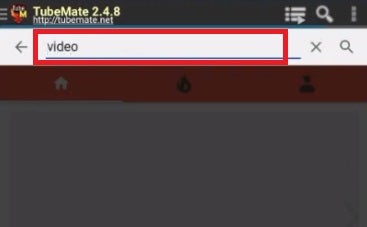 Escribe el nombre del vídeo a descargar
