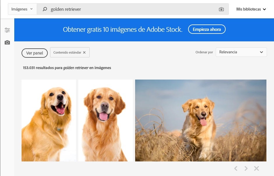 Resultado de búsqueda en Adobe Stock