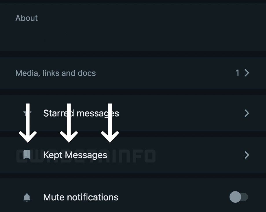 Conservar mensajes que desaparecen en WhatsApp