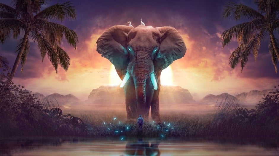 Fondo de pantalla con elefante