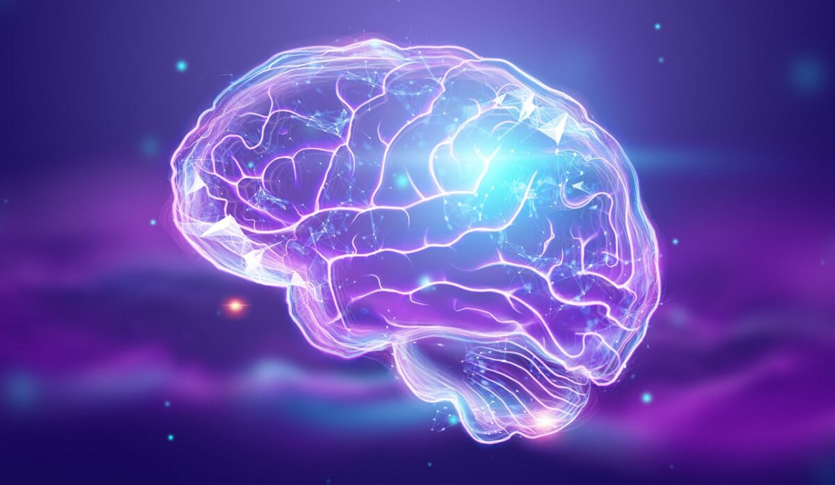 Cerebro y la neurotecnología