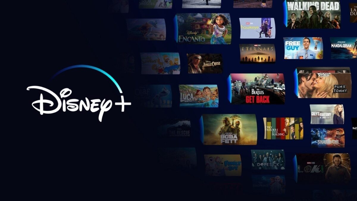 Disney+ nos acaba de cancelar dos series