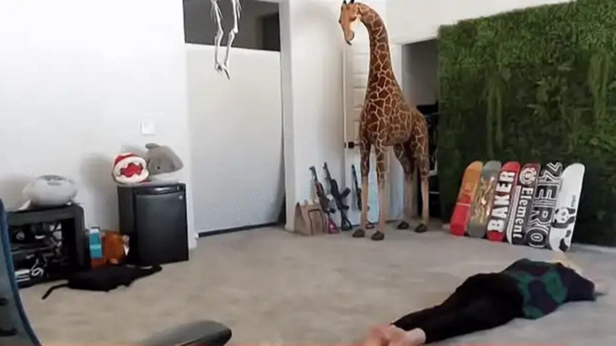 El streamer xQc se niega a debatir sobre un asunto legal. En su lugar, prefiere hacer el gusano