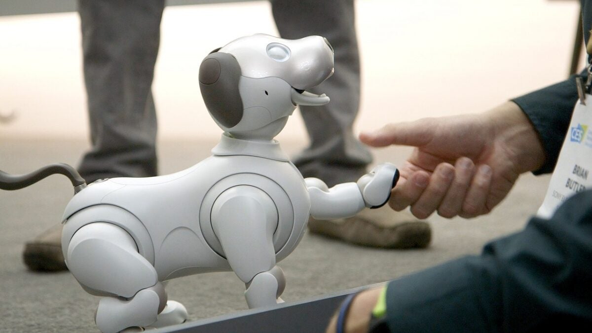 Aibo Foster Parent servicio de reparación