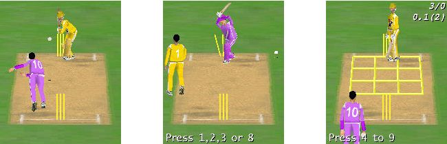 3dcricket Cricket3D