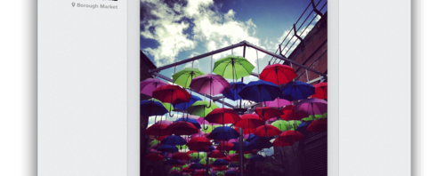 Instagram lets you view your photo feed on the web