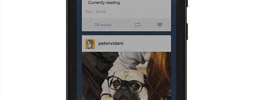 tumblr for windows phone