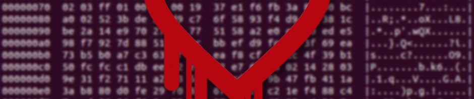 Heartbleed header 2