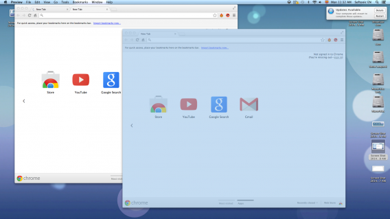 Screenshot window