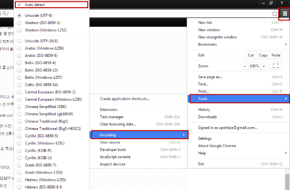 google chrome auto detect encoding
