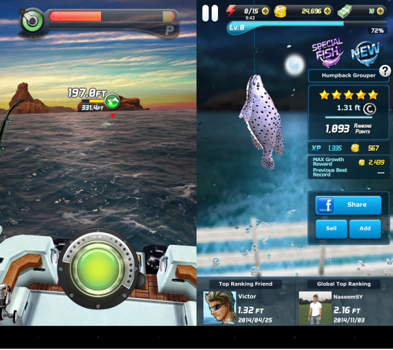 ace fishing wild catch