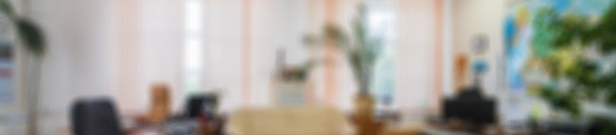 Take Office 2007 to the next level and gain some clarity with themes!