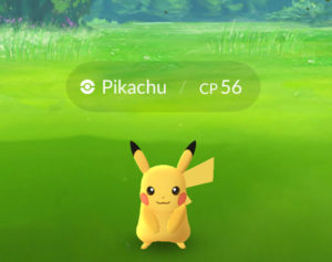 Pokémon Go - Pikachu in the Wild