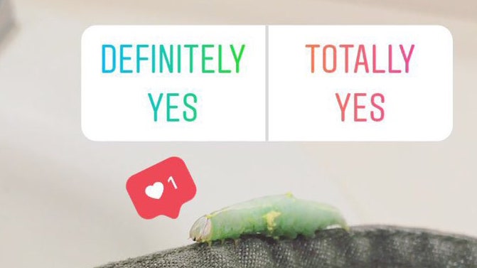 How to Create a Poll in Instagram Stories