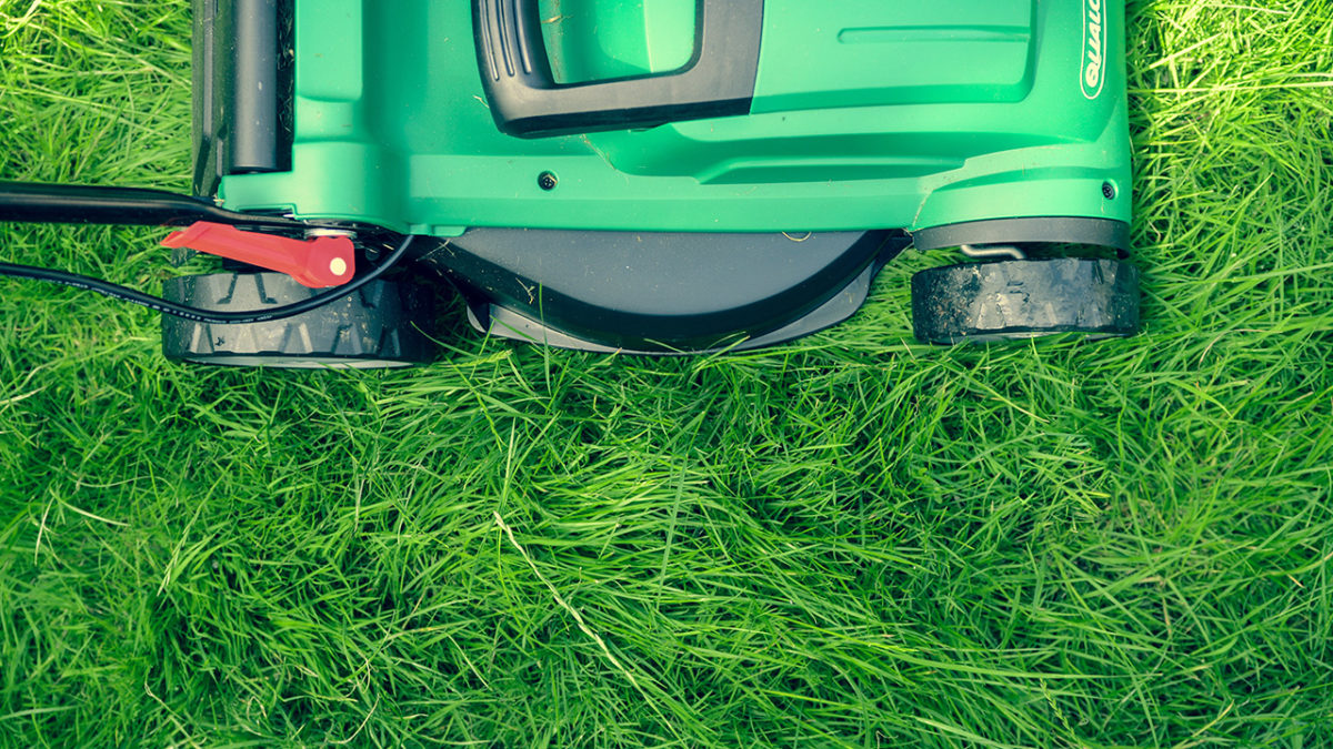 4 of the best gadgets for your garden