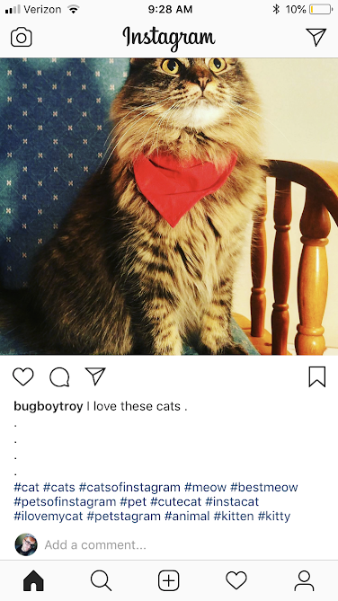 Instagram