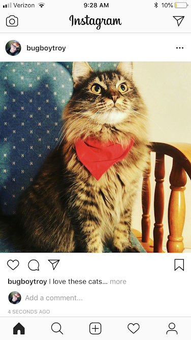 Instagram