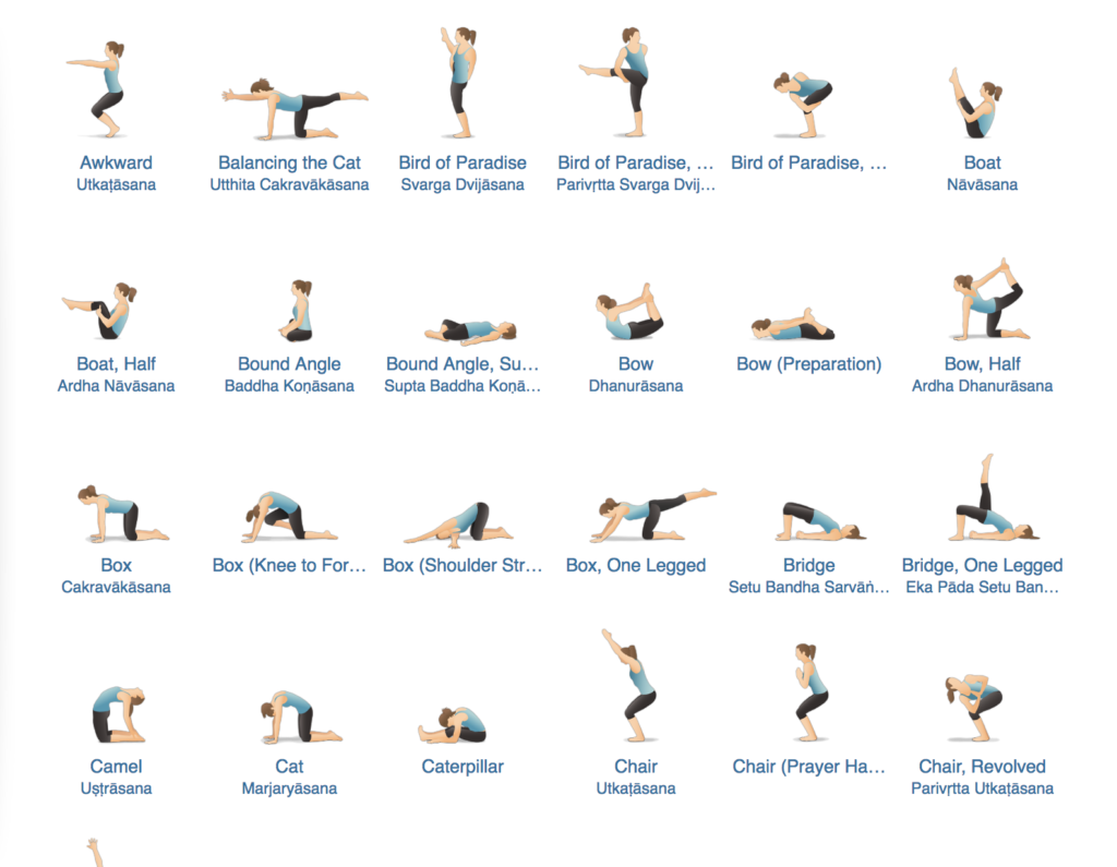 Pocket Yoga pose guide