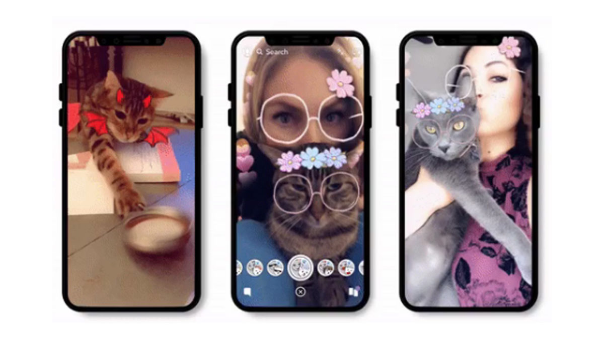 Snapchat reaches historic technological milestone by creating selfie filters for cats