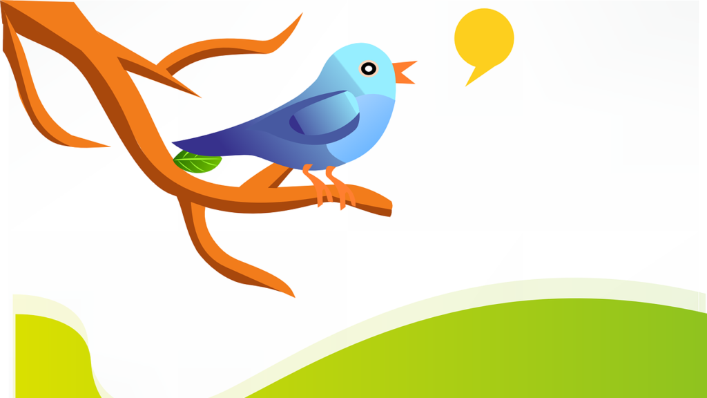 twitter