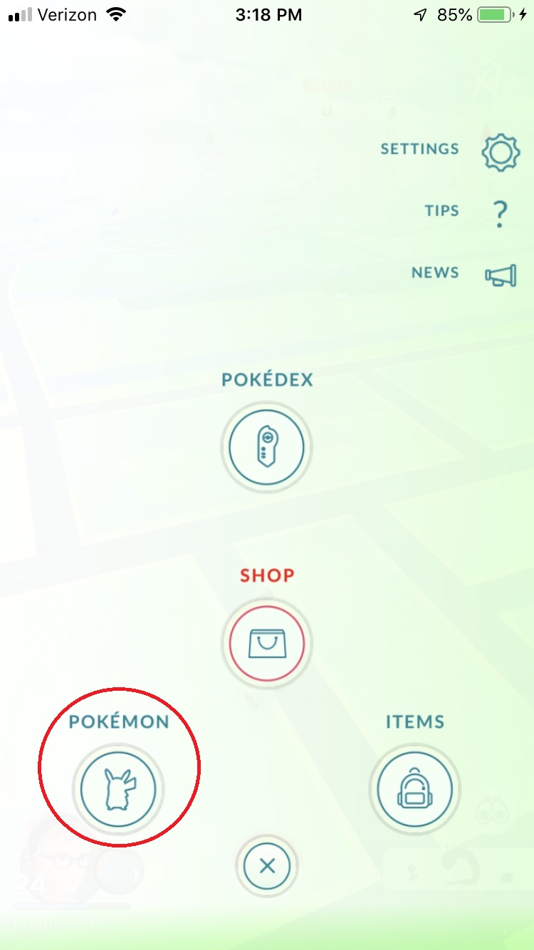 Pokemon Go