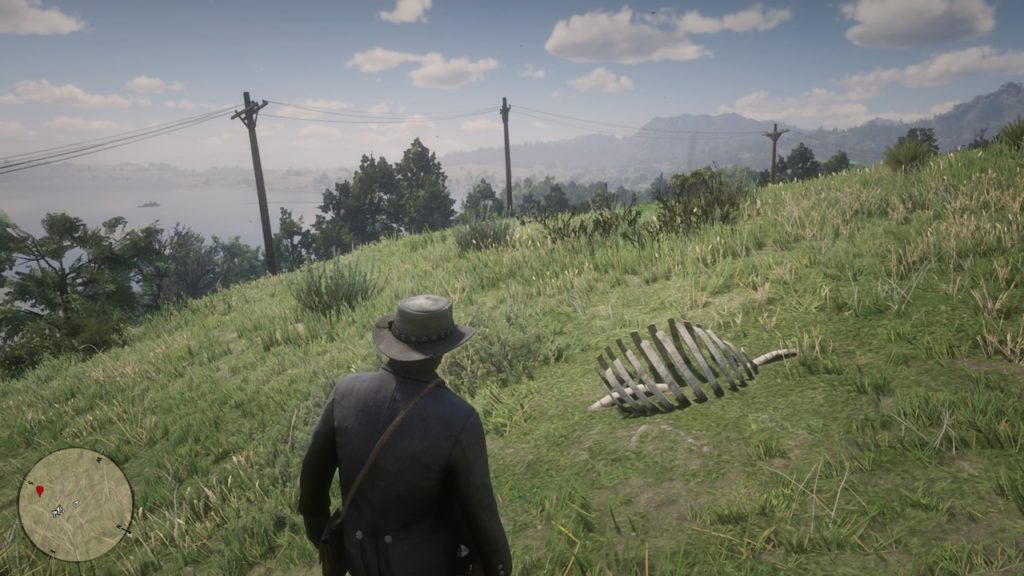 red dead 2 heartlands hill bone