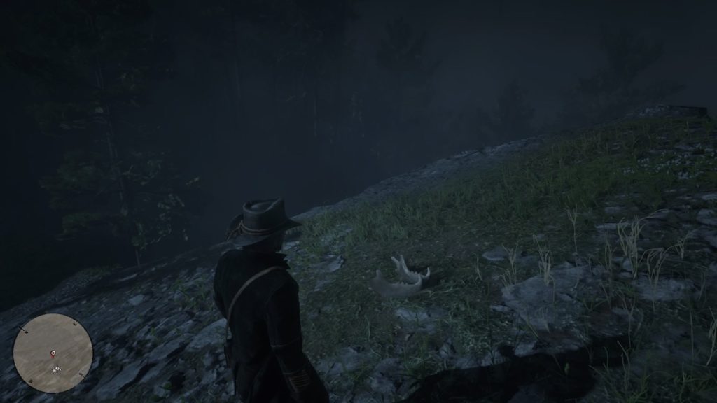 red dead 2 roanoke border bone 
