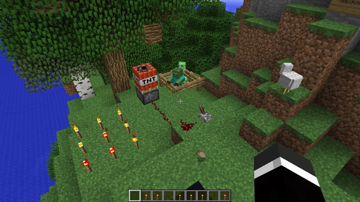 Minecraft