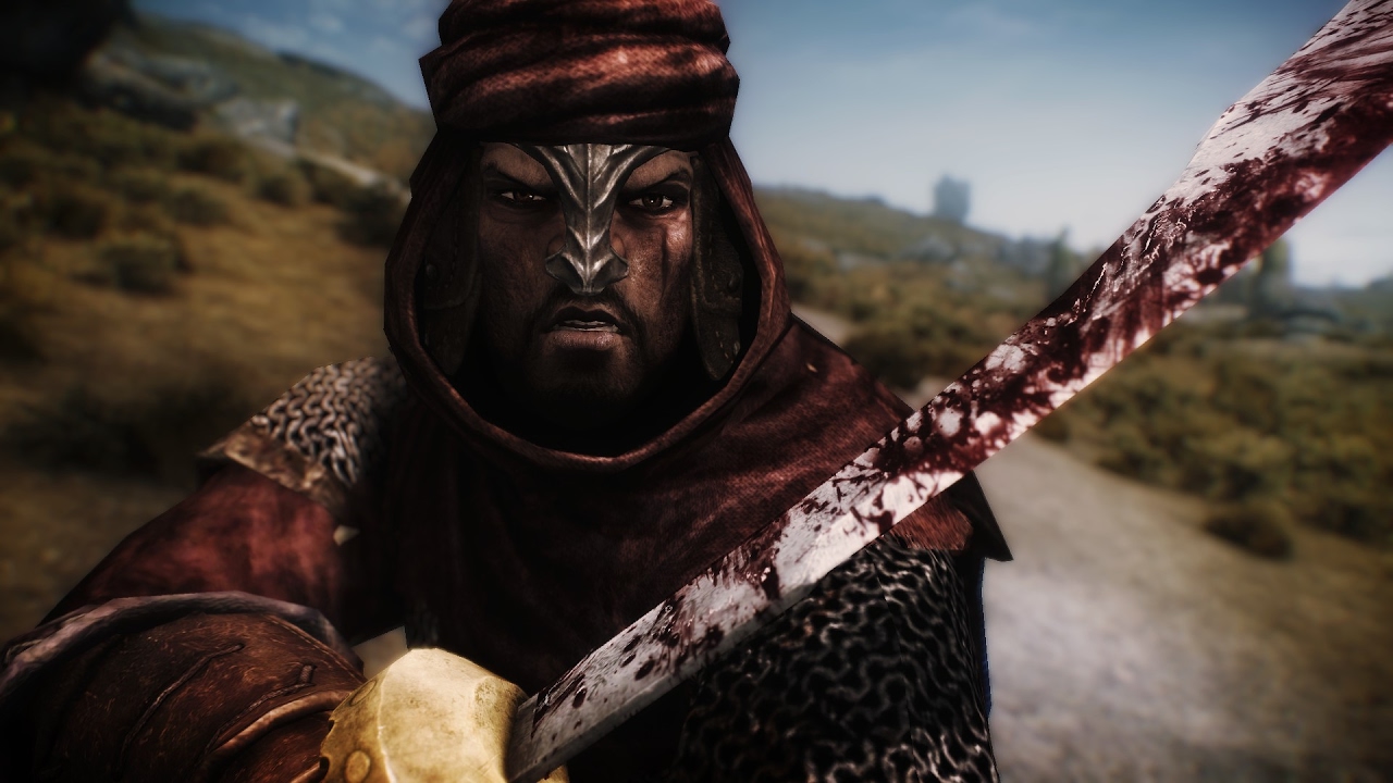 Redguards are great for a dual-wield run
