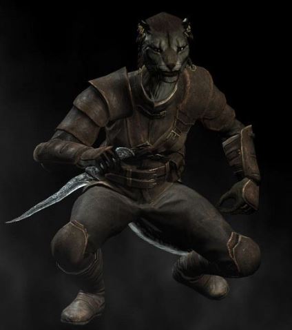 Sneaky khajiit is sneaky