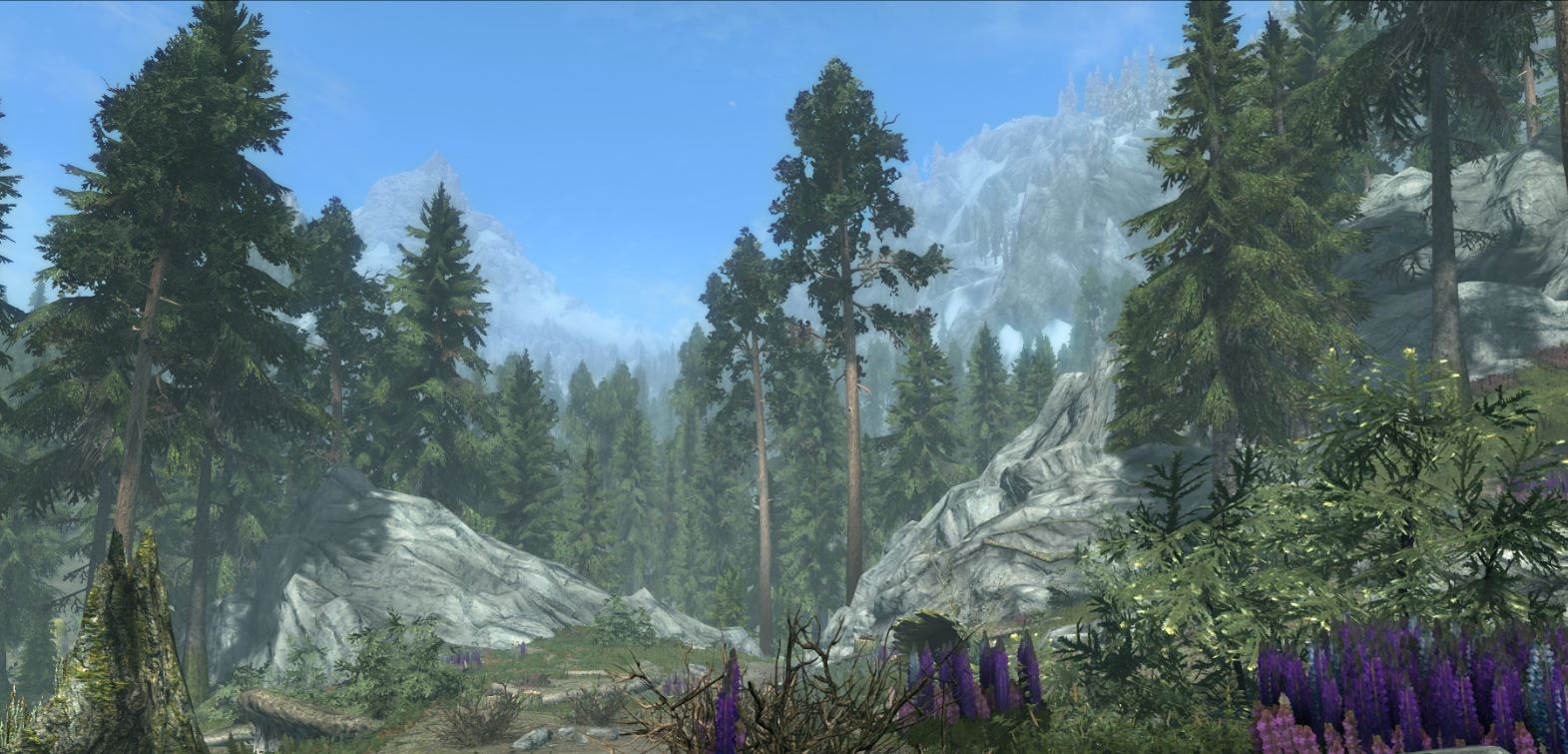 gorgeous vistas and landscapes that look like a painting