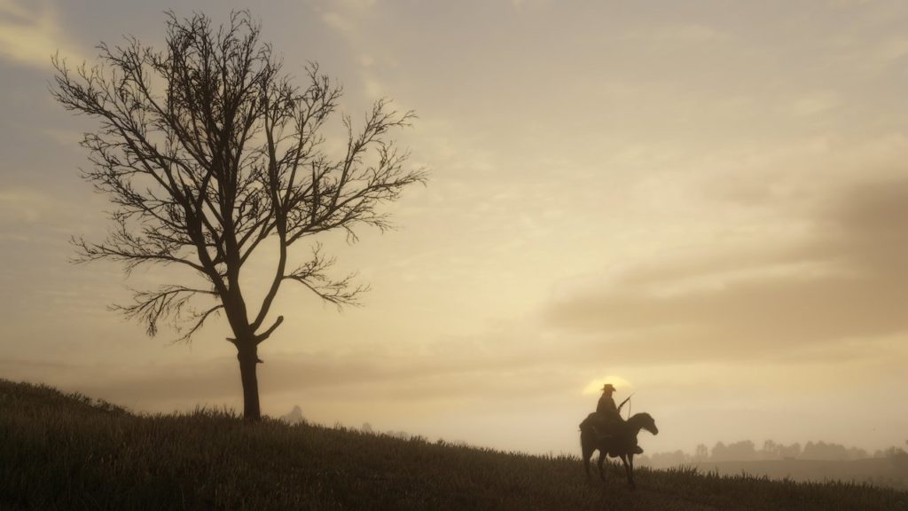red dead redemption 2 prarie
