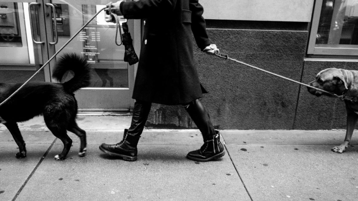 Best side hustle apps for earning some extra cash