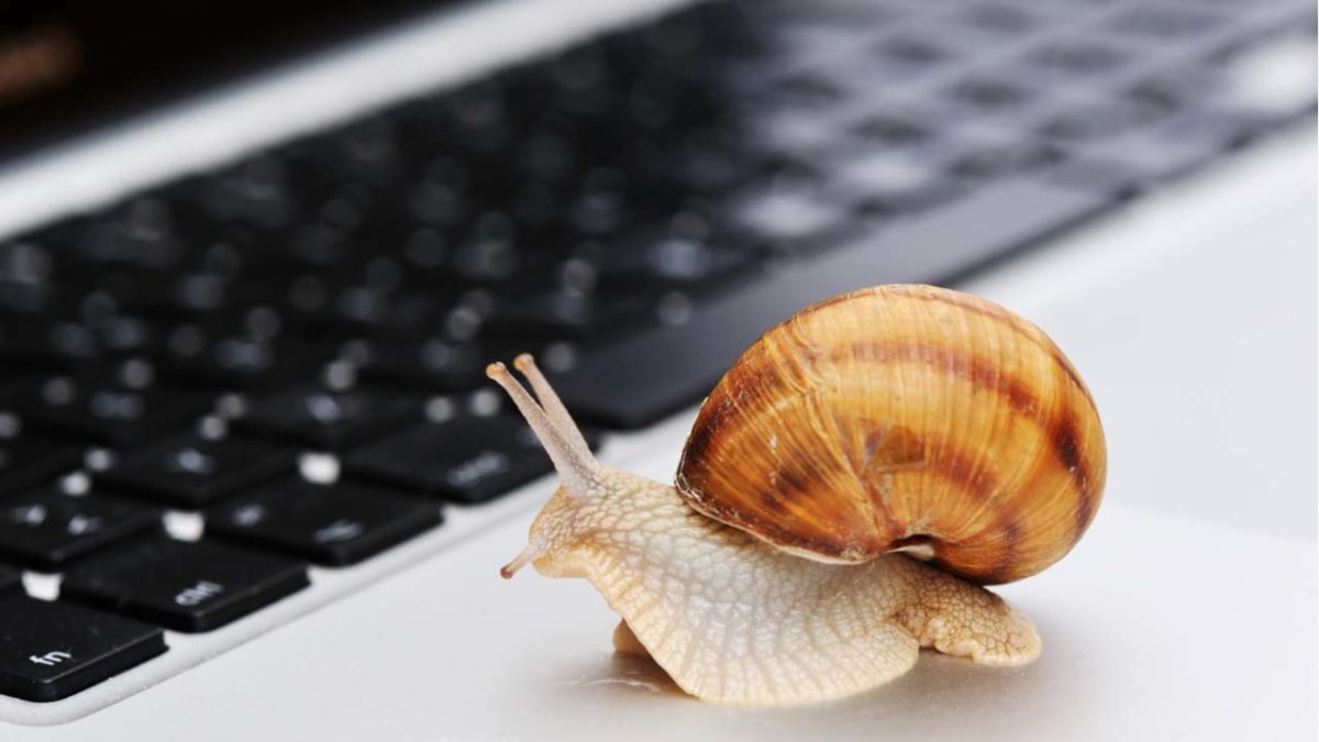 Snail internet